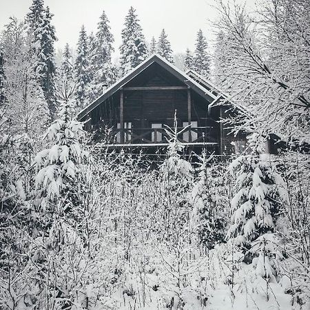 Chalet Shepit Karpat Bukovel Exteriör bild