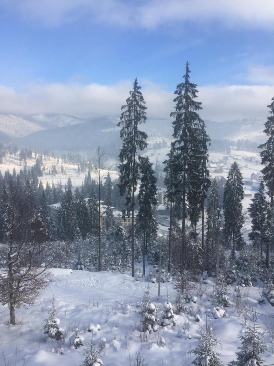 Chalet Shepit Karpat Bukovel Exteriör bild