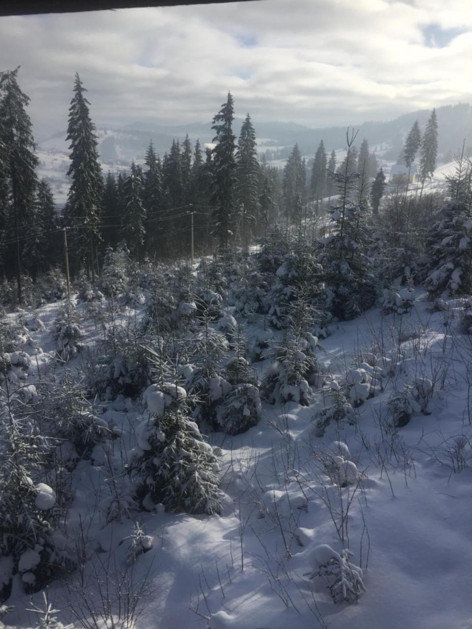 Chalet Shepit Karpat Bukovel Exteriör bild