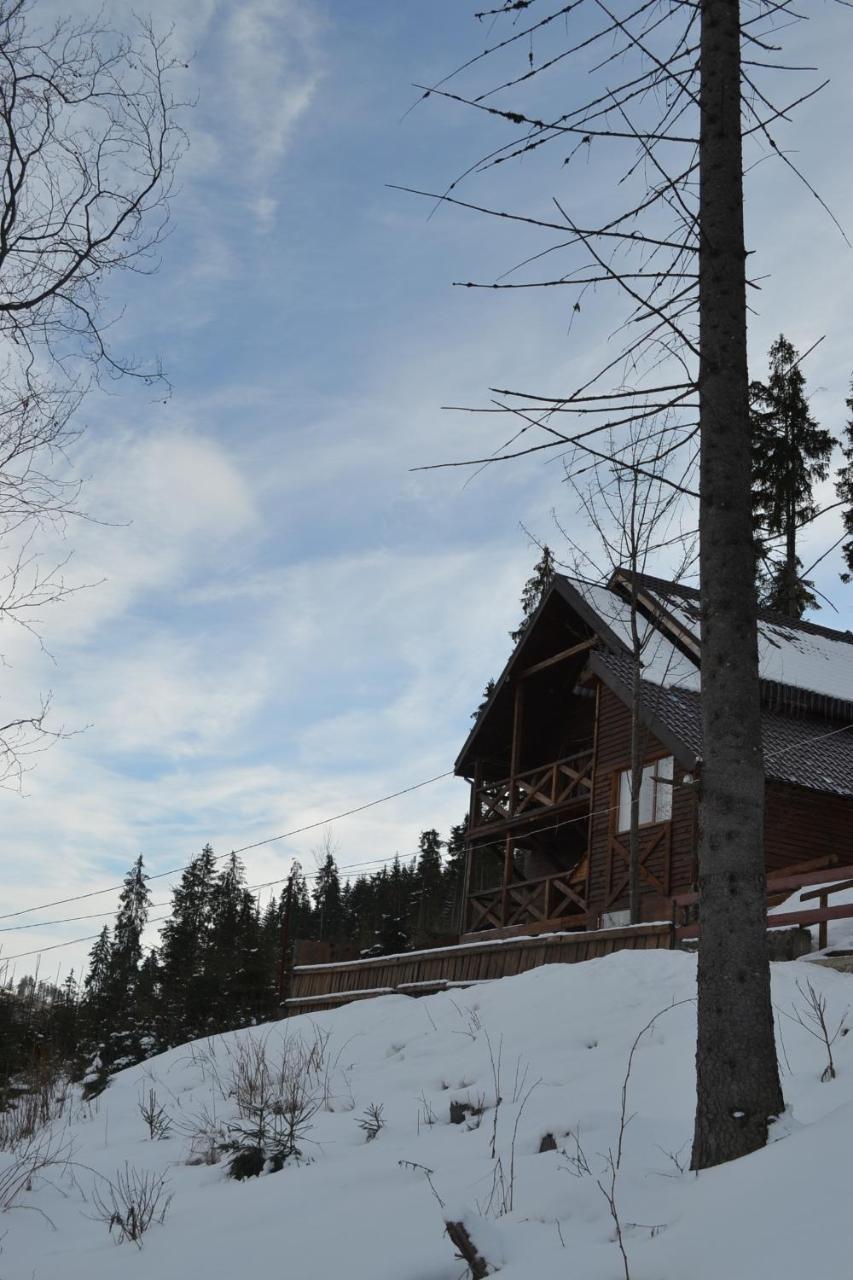 Chalet Shepit Karpat Bukovel Exteriör bild