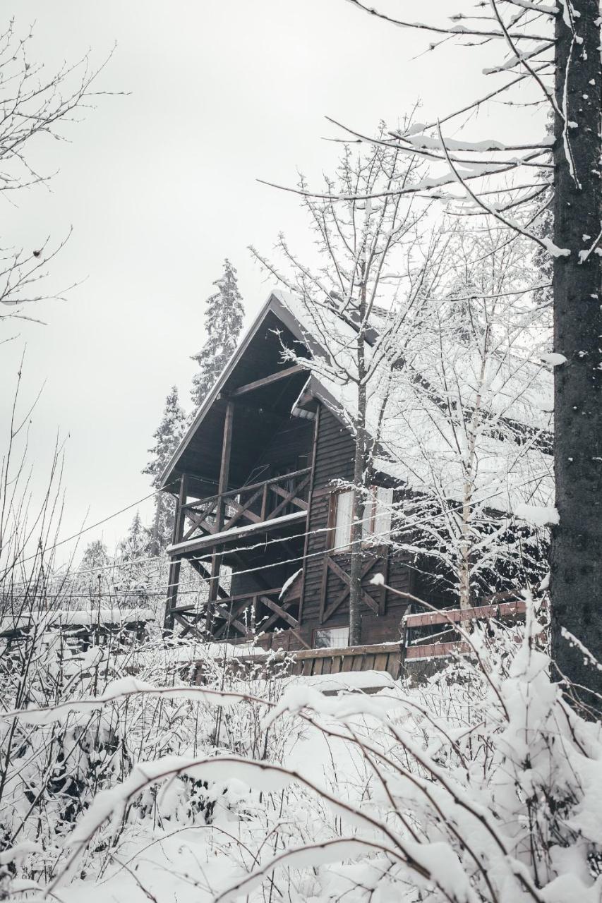 Chalet Shepit Karpat Bukovel Exteriör bild